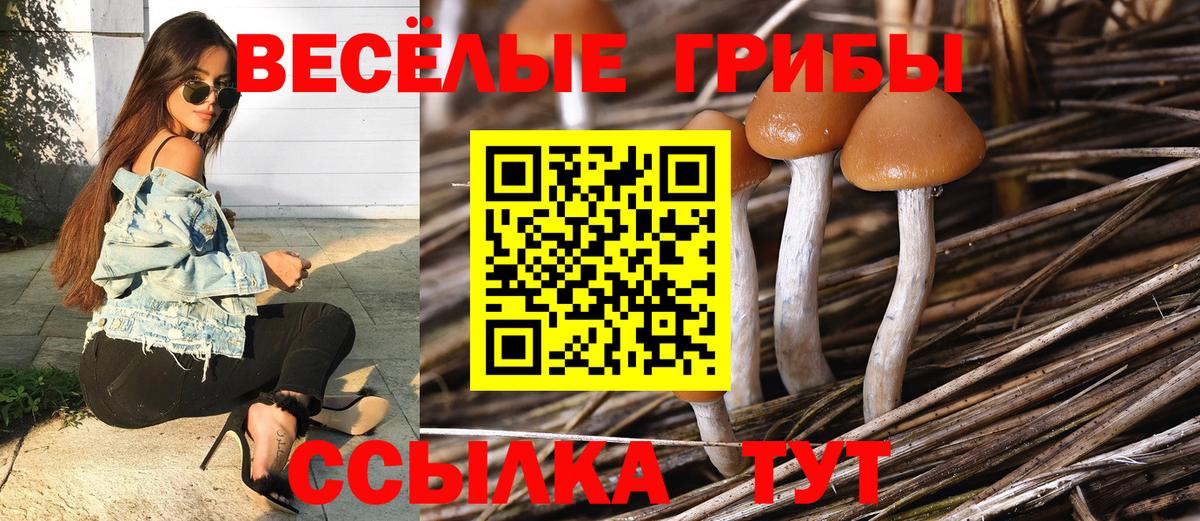 Учалы  Псилоцибиновые грибы MAGIC MUSHROOMS  дарнет шоп  Вход с VPN 